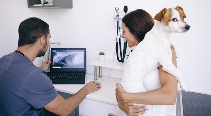 owner holding their dog as vet tech show them an xray