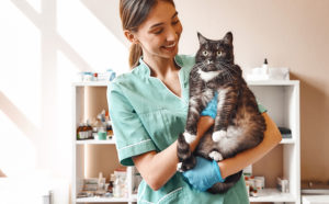 vet tech holding a big cat in vet office