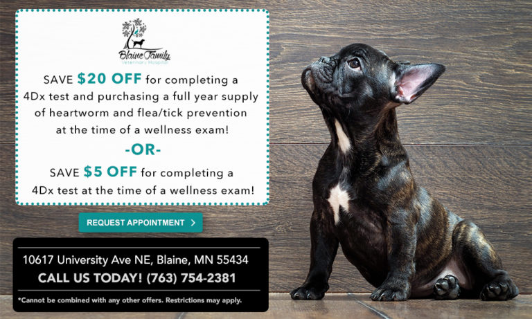 Specials & Promotions | Blaine Family Veterinary Hospital